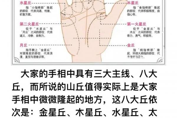 看手相算命：第一课 手相概论