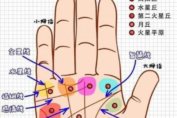 看手相算命：第一课 手相概论