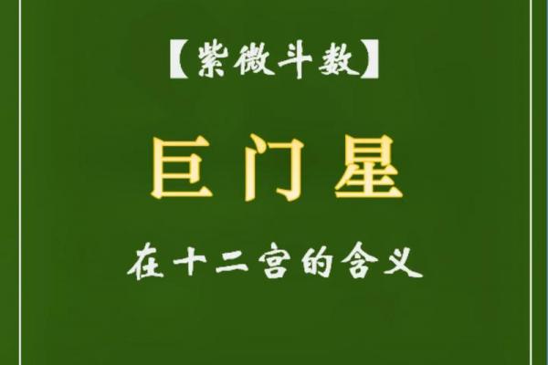 粤启明紫薇斗数