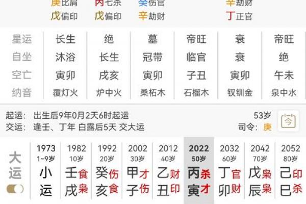 八字命盘养是什么意思 八字命盘养是什么意思