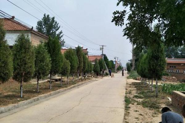 襄垣背里算命图片 襄垣背里算命图片