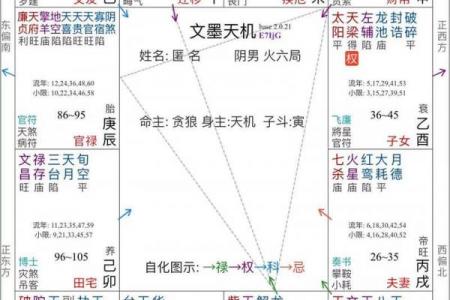 紫薇星斗数命盘怎么看大限