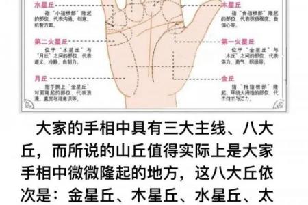 看手相算命：第一课 手相概论