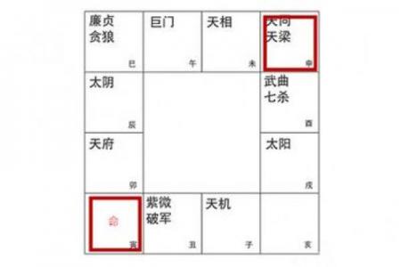 紫微排盘,科星逢破格命格详解