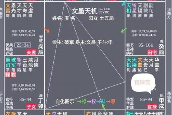 紫薇斗数财帛星 紫薇斗数财帛星