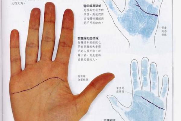 免费拍照看手相算命在线 免费拍照看手相算命在线