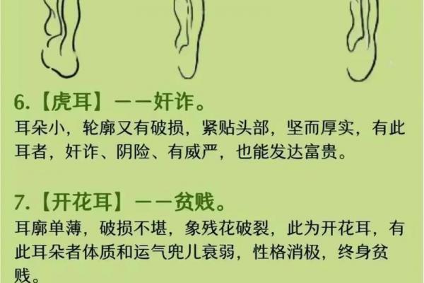 耳朵高于眉毛的人 面相算命 耳朵高于眉毛的人 面相算命