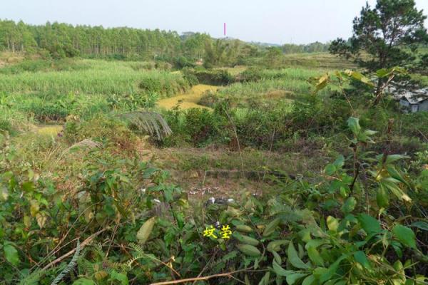 前兆葬风水宝地有预感多久知道