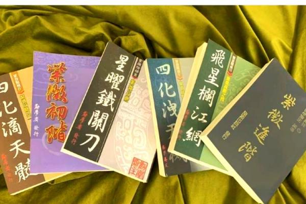 紫薇斗数书籍在线观看