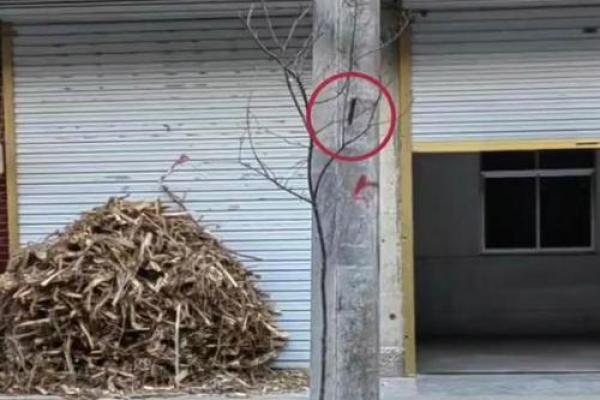 大门对着电线杆,门前有电线杆如何化解风水煞气? 大门对着电线杆,门前有电线杆如何化解风水煞气?