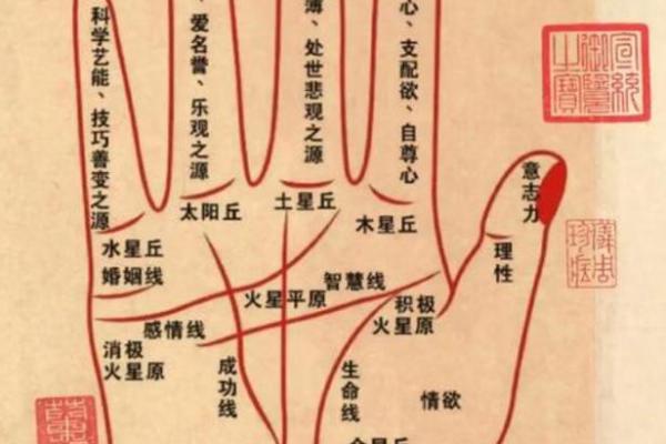 量指算命多神奇?手指长度看命运 量指算命多神奇?手指长度看命运