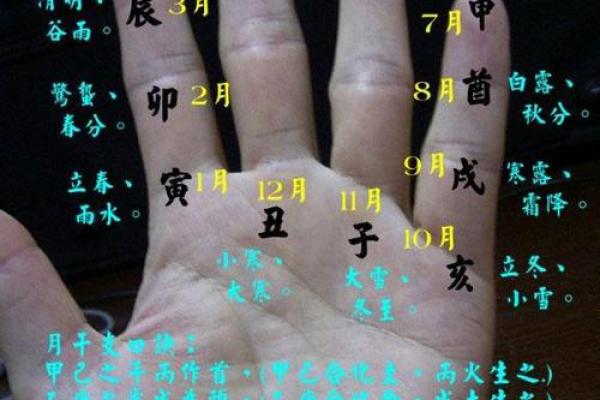 量指算命多神奇?手指长度看命运 量指算命多神奇?手指长度看命运