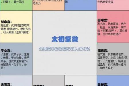 紫薇斗数看文化