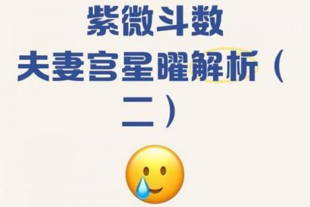 紫微斗数之夫妻宫与诸星，七杀星在夫妻宫是什么意思？