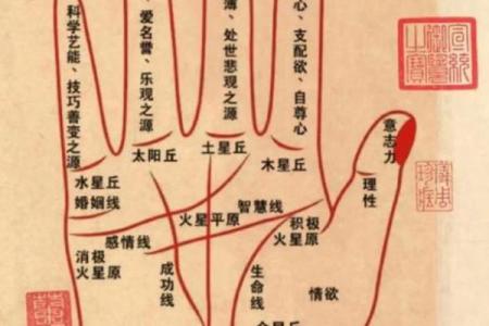 量指算命多神奇？手指长度看命运