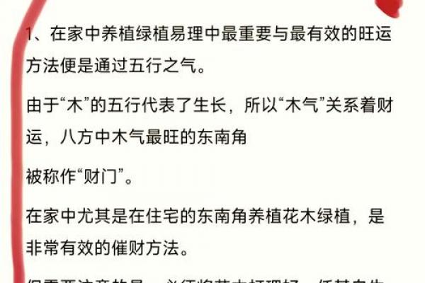 风水中房子里放什么破财? 风水中房子里放什么破财?