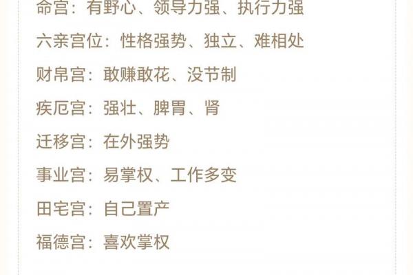 紫薇斗数成就 紫薇斗数成就