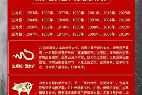 八字流通 八字流通