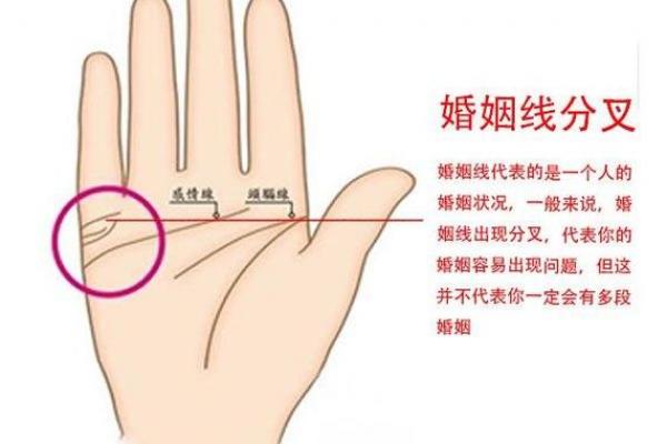 女人手相算命图解女人婚姻 婚姻线看感情生活 女人手相算命图解女人婚姻 婚姻线看感情生活