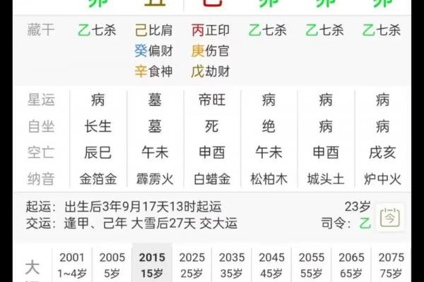 五行在线八字排盘,排八字排盘算命免费 五行在线八字排盘,排八字排盘算命免费