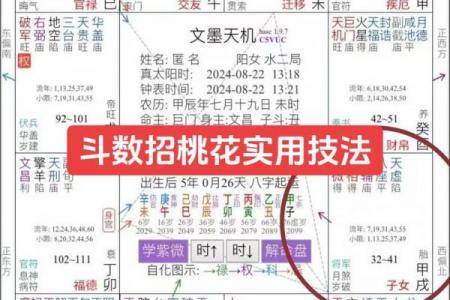 夫妻宫看紫薇斗数