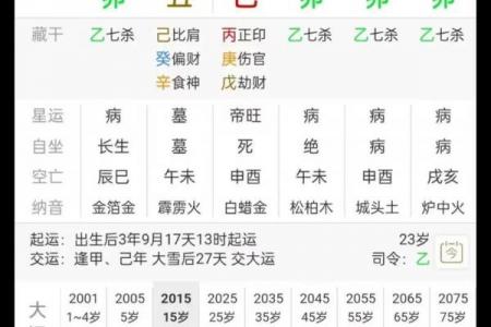 五行在线八字排盘,排八字排盘算命免费