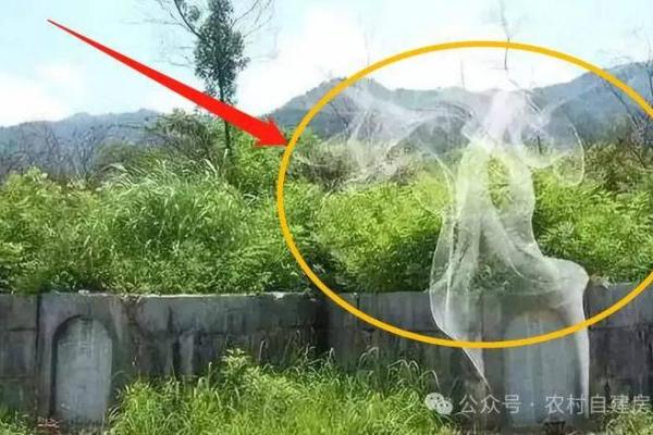 风水学从小有神灵跟着的人的征兆 风水学从小有神灵跟着的人的征兆