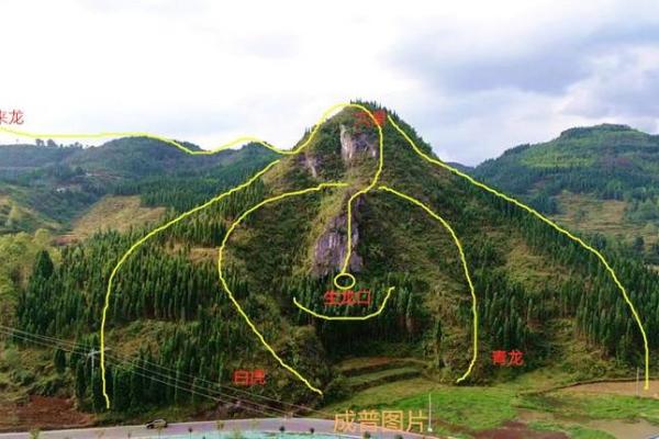 怎么看坟地风水的好坏 怎么看坟地风水的好坏