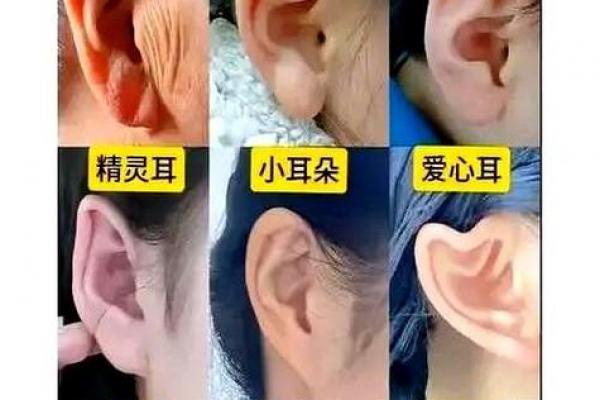 风水面相:耳朵贴脑的女人好不好 风水面相:耳朵贴脑的女人好不好