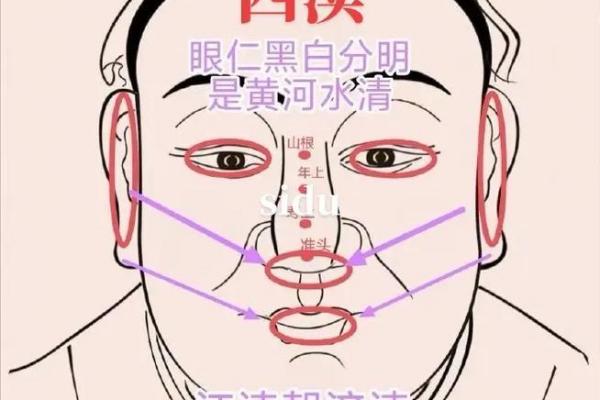 风水面相:耳朵贴脑的女人好不好 风水面相:耳朵贴脑的女人好不好