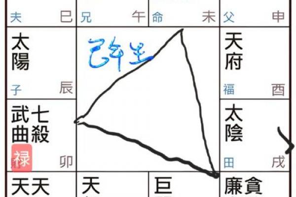 紫微斗数禄存星在财库 禄存在财帛宫是什么意思? 紫微斗数禄存星在财库 禄存在财帛宫是什么意思?