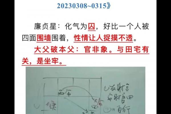 大花紫薇斗数钦天 大花紫薇斗数钦天