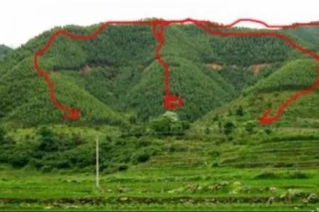 墓地朝向的风水大全，凶吉自断