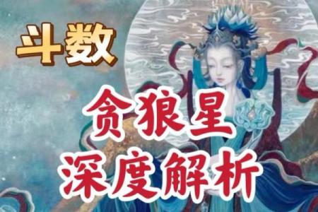 紫薇斗数贪狼火星