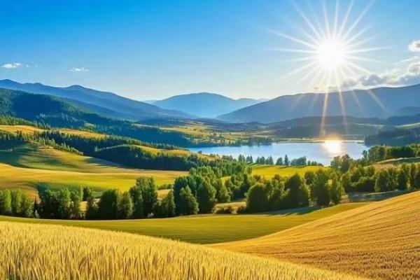 方位风水_成熟的麦子摆放在家里的什么位置更好 方位风水_成熟的麦子摆放在家里的什么位置更好