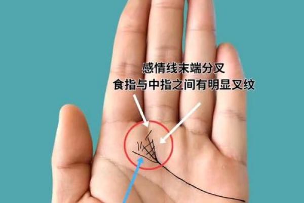 风水解读感情线断开上下两条好不好 风水解读感情线断开上下两条好不好