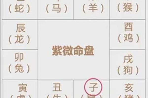 紫薇斗数卯宫对应