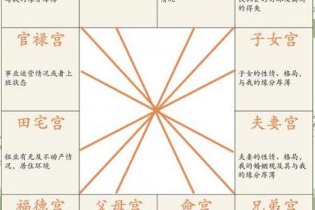 紫薇斗数流年按生日