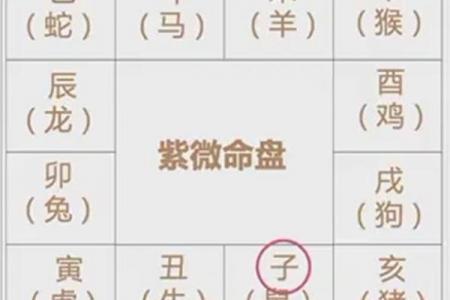 紫薇斗数卯宫对应
