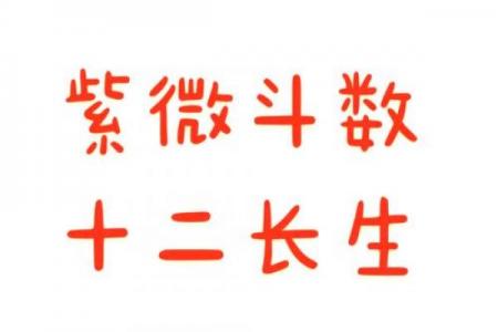 算个紫微斗数 算紫微斗数用什么ai？