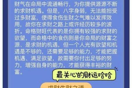 周易和算命、八字是不是一回事呢？到底哪个更准？