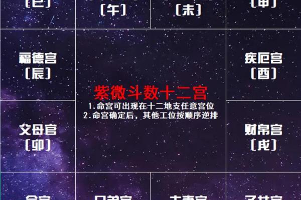 紫薇斗数什么宫最重要