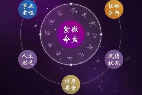 紫薇斗数地盘有什么用