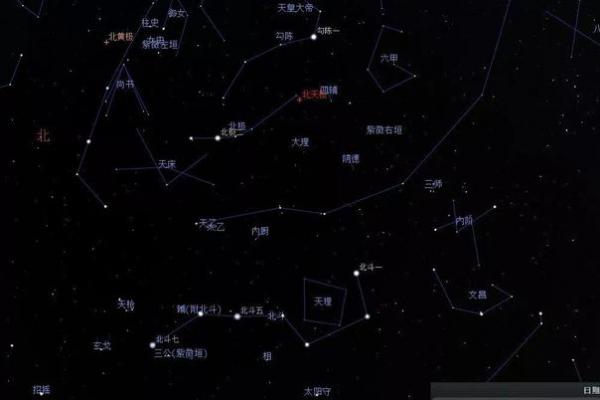 紫薇斗数寿命的星星