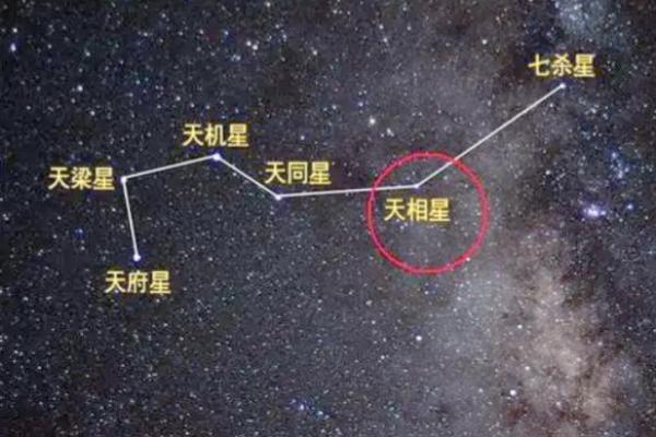 紫薇斗数寿命的星星