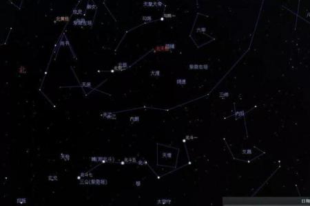 紫薇斗数寿命的星星