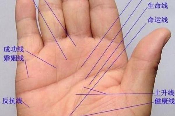 手相流年图算命——百发百中 手相流年图算命——百发百中