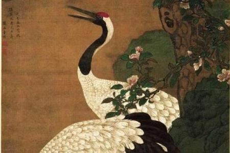 天后灵签5寿星骑仙鹤