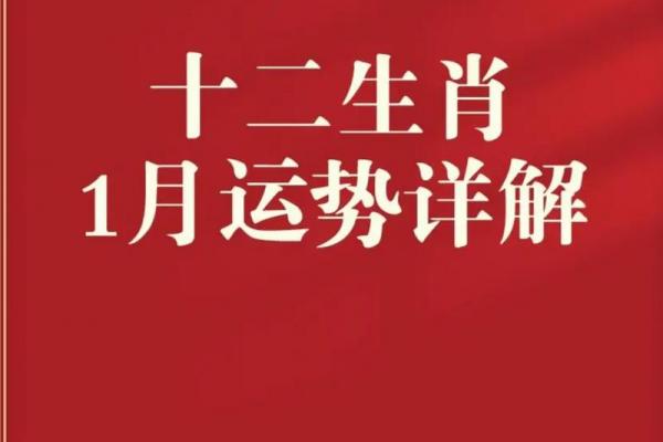 属相算命2024年运势