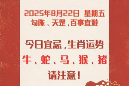 今日穿着运势风水